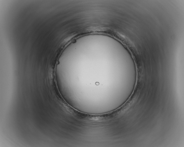 X0000113921169200910221347
