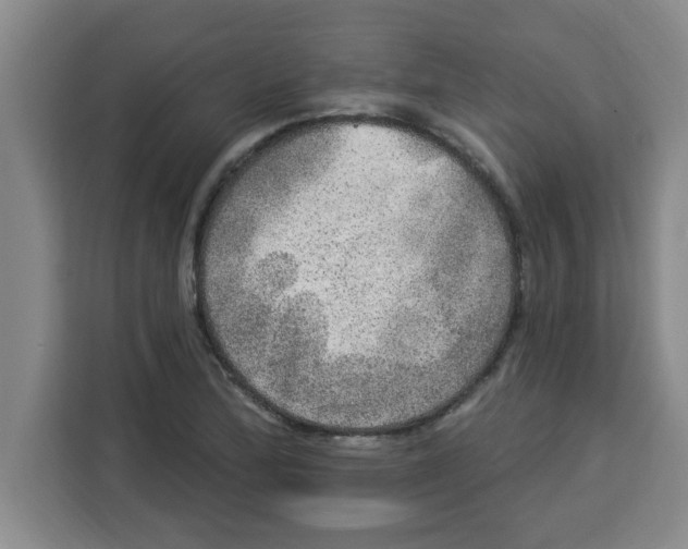 X0000113921172200910221347