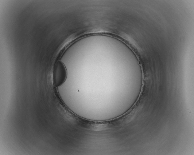 X0000113921173200910221347