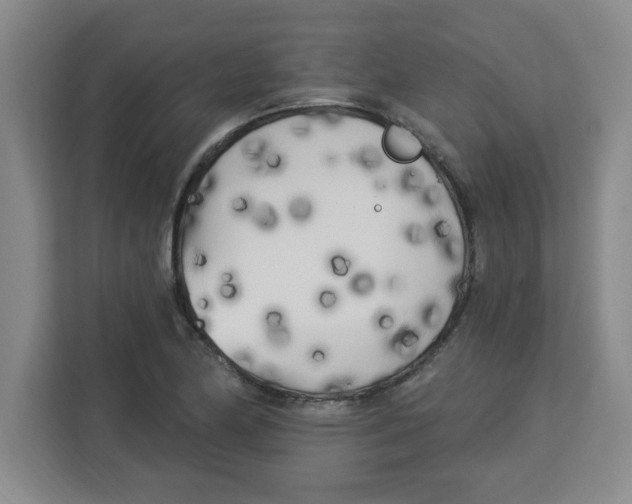 X0000113921174200910221347