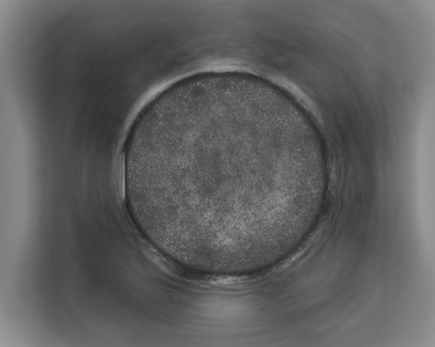 X0000113921175200910221347
