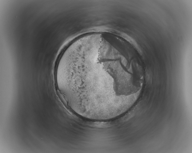 X0000113921176200910221347