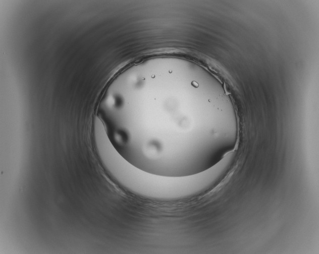 X0000113921177200910221347