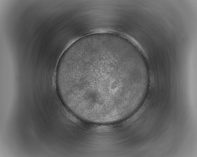 X0000113921178200910221347
