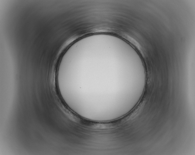 X0000113921179200910221347