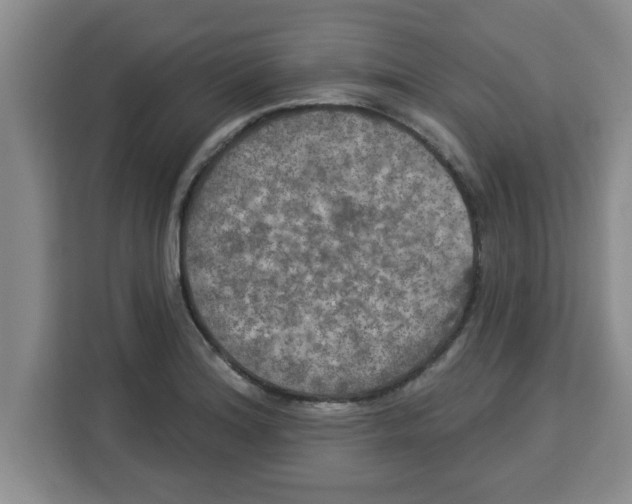 X0000113921180200910221347
