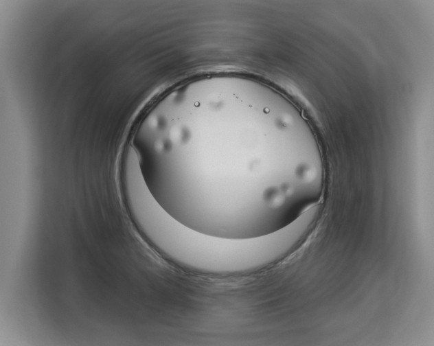 X0000113921181200910221347