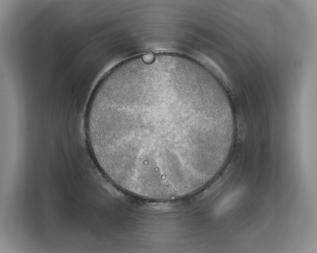 X0000113921182200910221347