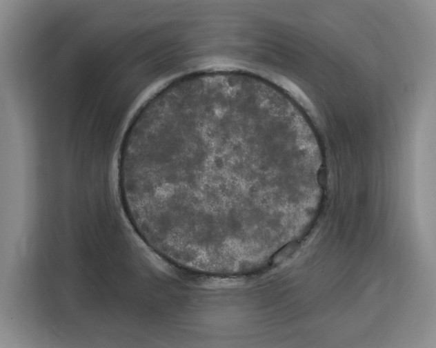 X0000113921183200910221347