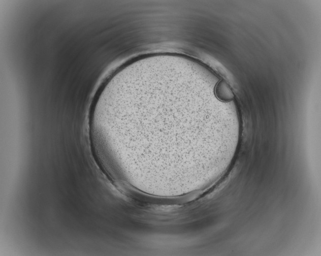 X0000113921184200910221347