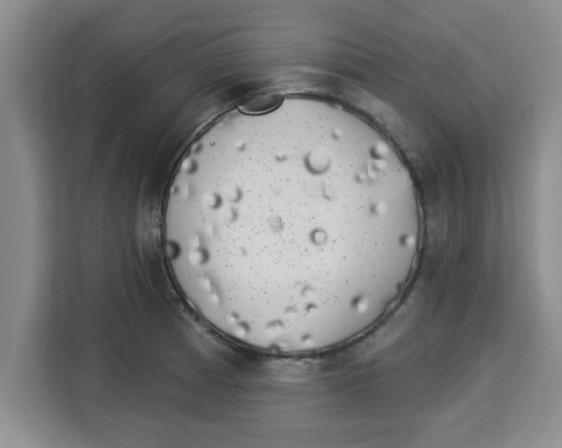 X0000113921185200910221347