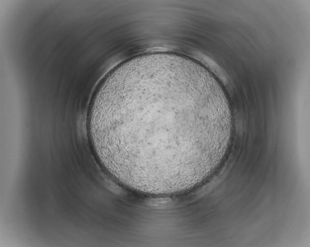 X0000113921186200910221347