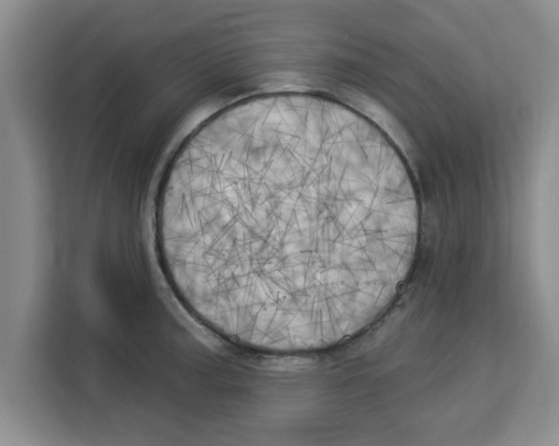 X0000113921187200910221347