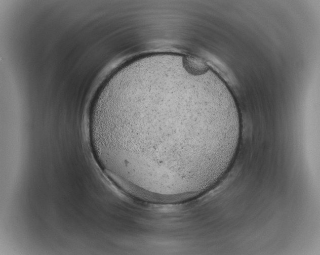 X0000113921188200910221347