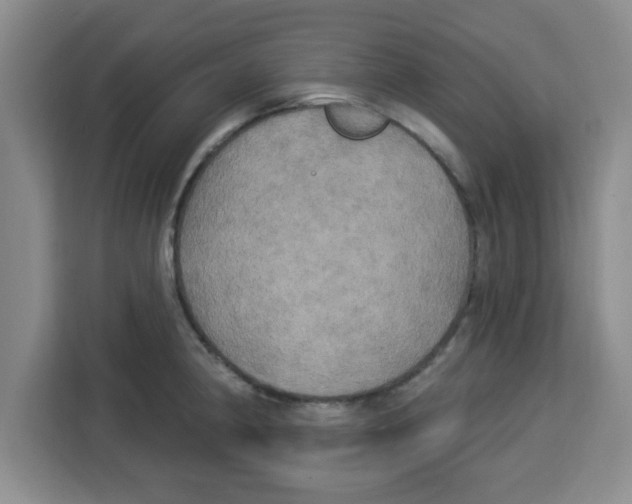 X0000113921190200910221347
