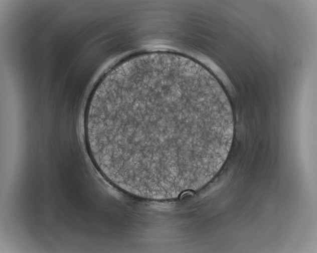 X0000113921191200910221347