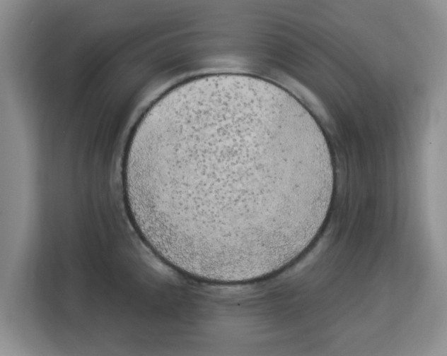 X0000113921192200910221347