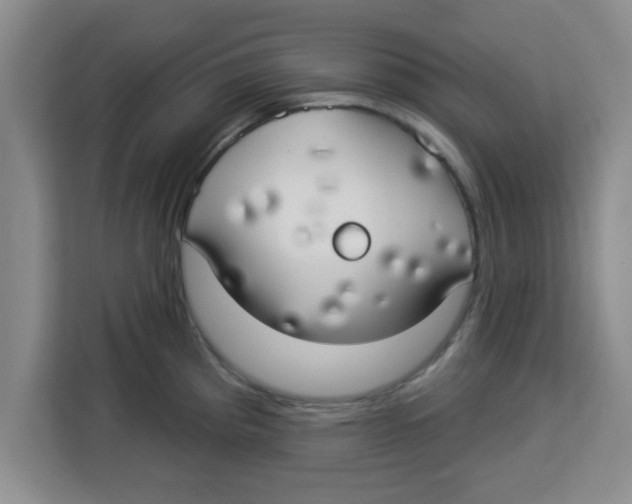 X0000113921193200910221347
