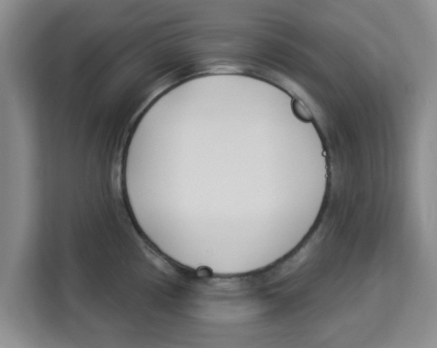 X0000113921194200910221347