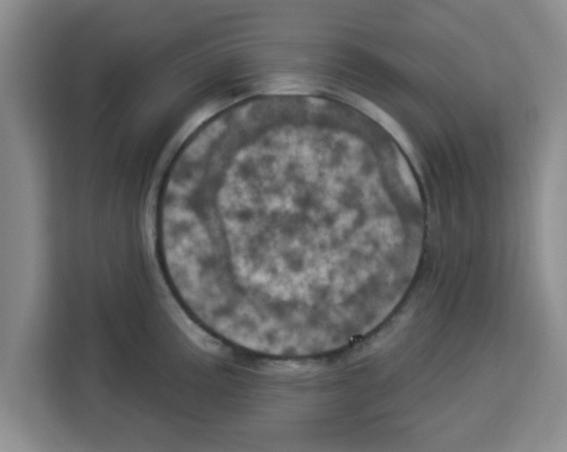 X0000113921195200910221347