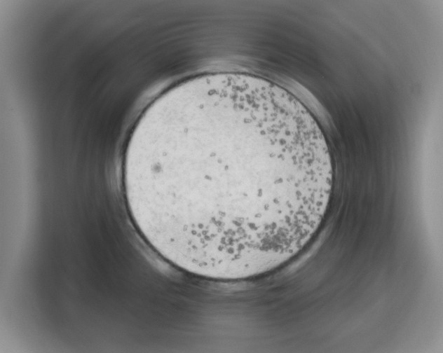 X0000113921196200910221347