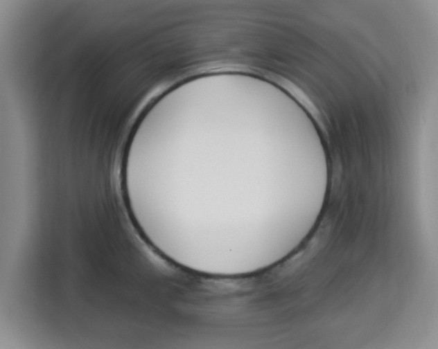 X0000113921197200910221347