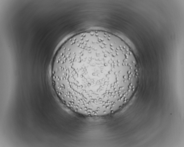 X0000113921198200910221347