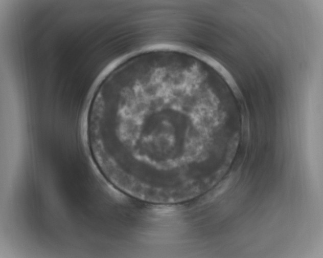 X0000113921199200910221347