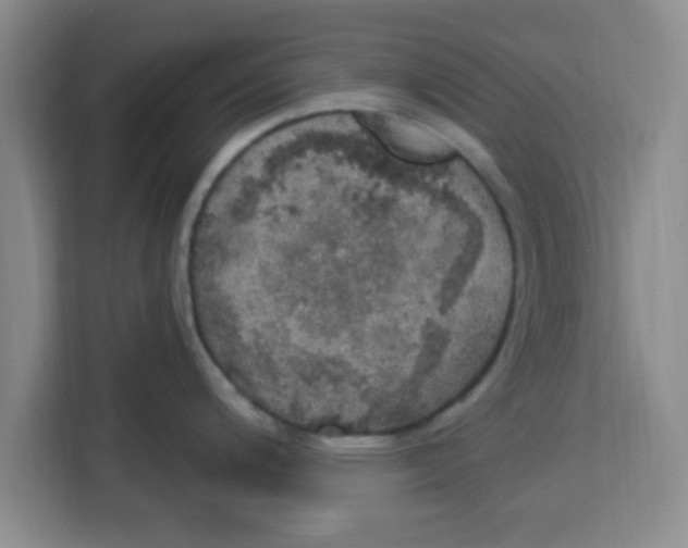 X0000113921200200910221347