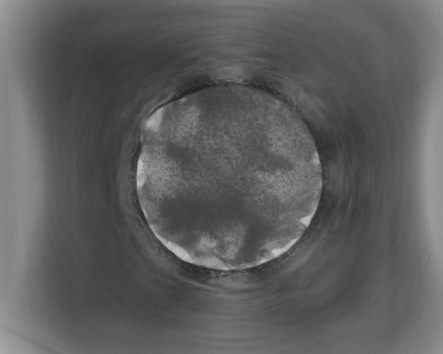 X0000113921201200910221346