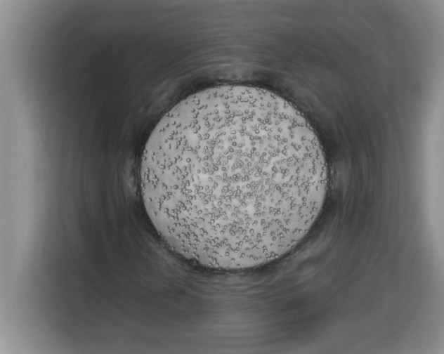 X0000113921202200910221346