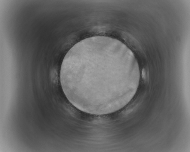 X0000113921203200910221346