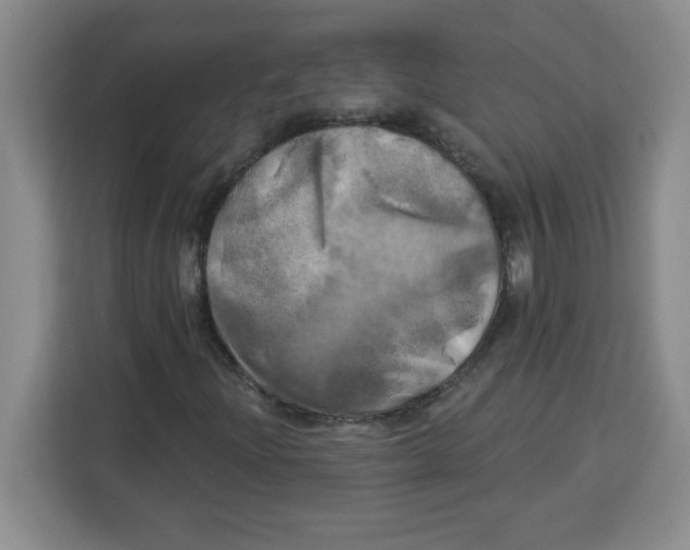 X0000113921204200910221346