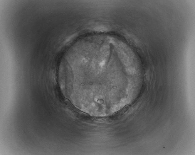 X0000113921205200910221346
