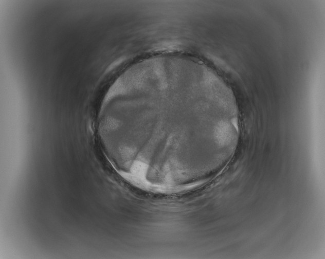 X0000113921206200910221347