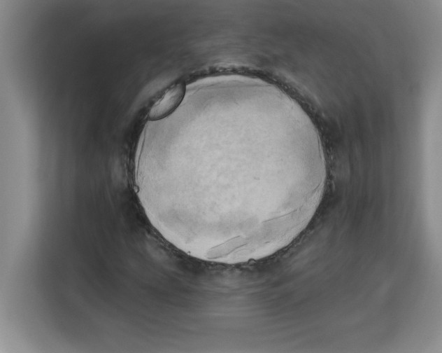 X0000113921207200910221347
