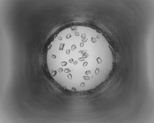 X0000113921208200910221347