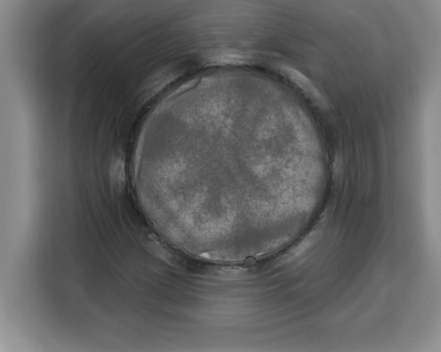 X0000113921209200910221347