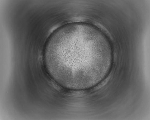 X0000113921210200910221347