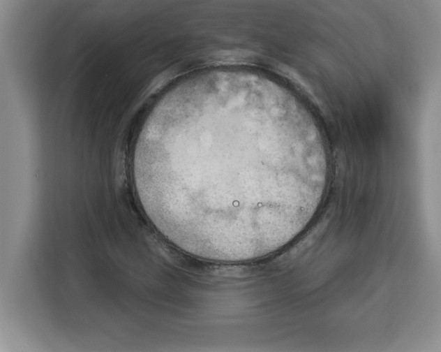 X0000113921211200910221347