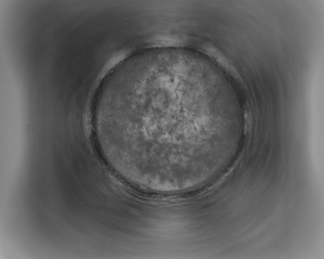 X0000113921213200910221347