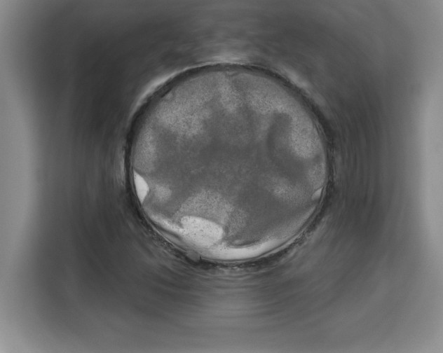 X0000113921214200910221347