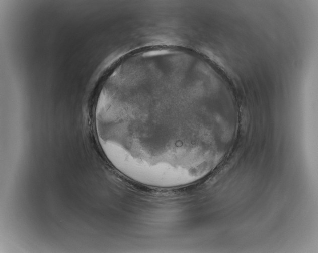 X0000113921215200910221347