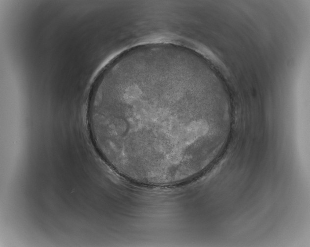 X0000113921216200910221347
