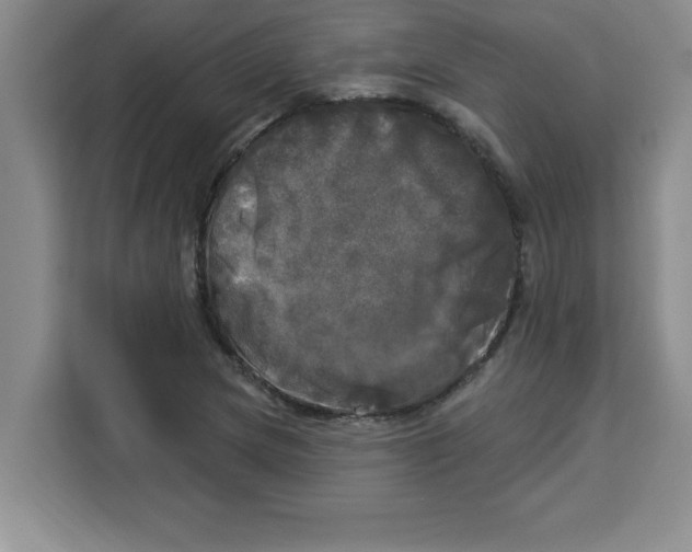X0000113921217200910221347