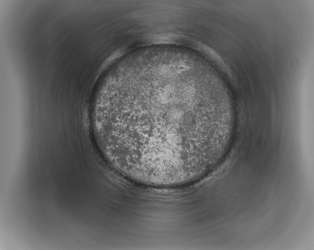 X0000113921218200910221347