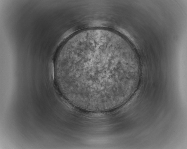 X0000113921219200910221347