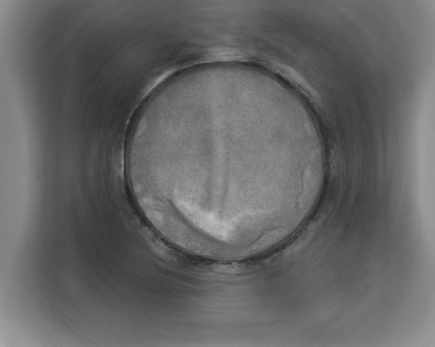 X0000113921220200910221347