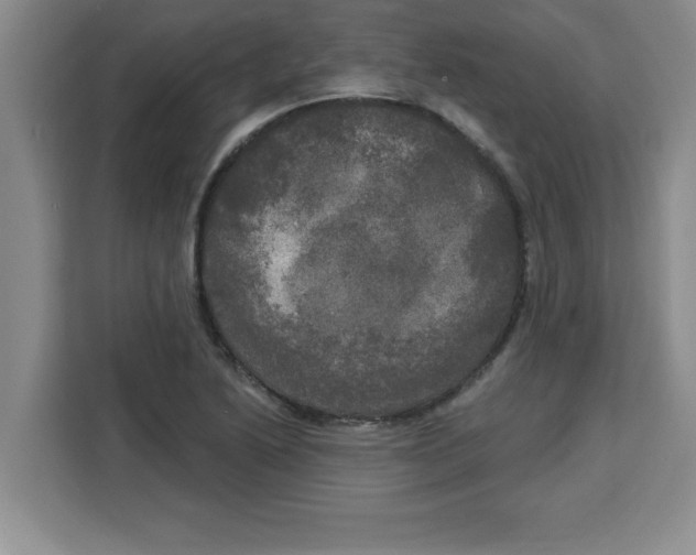 X0000113921222200910221347