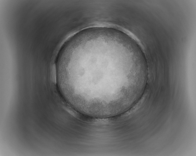 X0000113921223200910221347